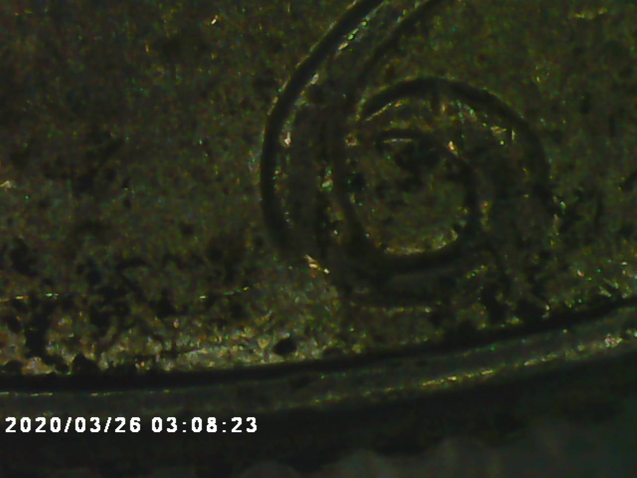 For-Grading-Pics-May-Not-Be-Good-Enough.-Also-Marker-On-B-In-Liberty?